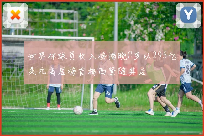 世界杯球员收入榜揭晓C罗以295亿美元高居榜首梅西紧随其后
