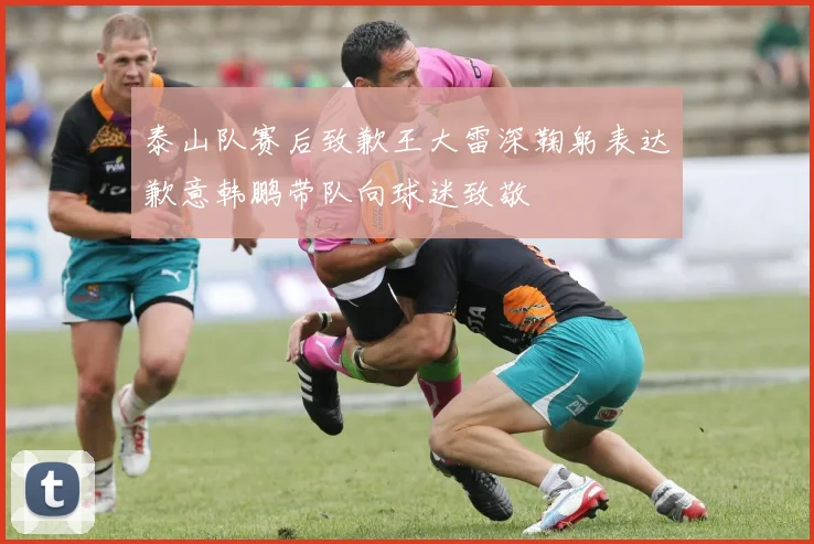 泰山队赛后致歉王大雷深鞠躬表达歉意韩鹏带队向球迷致敬