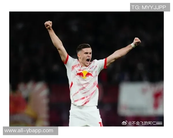 德天空报道水晶宫欲3000万欧签鲍姆加特纳遭莱比锡拒绝